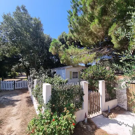 Dans Terrain Privé Et Familiale Bonifacio (Corsica)