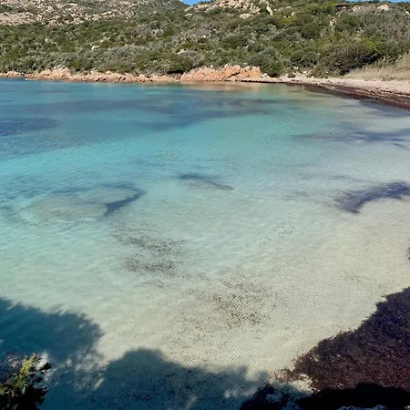 Dans Terrain Privé Et Familiale * Bonifacio (Corsica)