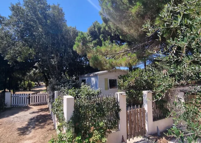 בקתה Dans Terrain Prive Et Familiale