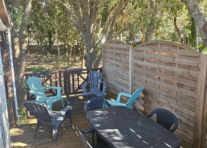 בקתה Dans Terrain Prive Et Familiale *